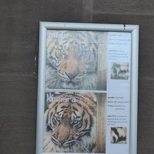Tiger Identification Signage