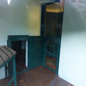 Part of Chimo House with sign above saying "Chimp Nursery"