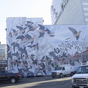 Feb. 2017 - Passenger Pigeon Memorial Mural on 7th Street