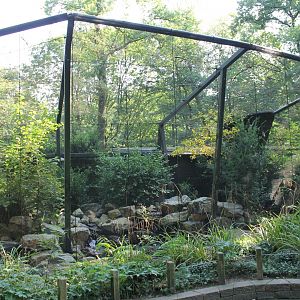 Curassow - Jay aviary