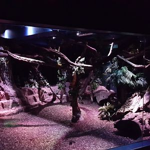 Enclosure Night monkey - Fruit bat