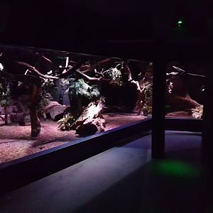 Enclosure Night monkey - Fruit bat