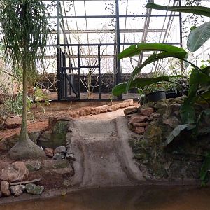 New aviaries, February 2017