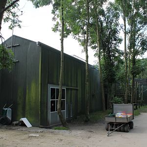 Back-side Tropical House