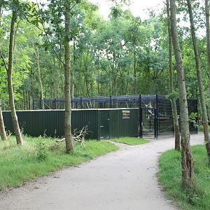 Barbary macaque Enclosure