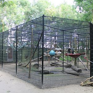 Barbary macaque Enclosure