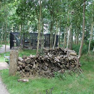 Barbary macaque Enclosure