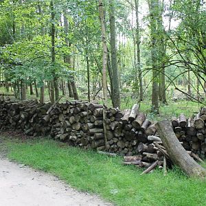 Animal-friendly fencing