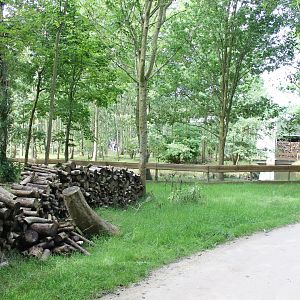 View towards the Monkey-walk through Islands