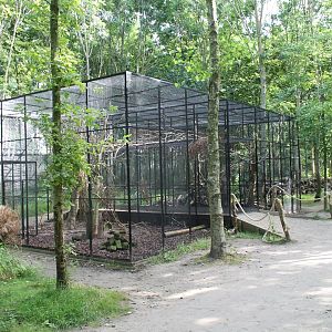 Squirrel-enclosure
