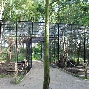 Squirrel-enclosure