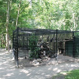 Raven-aviary
