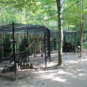 Raven-aviary