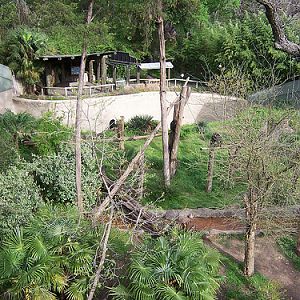 Kimberly Clark Chimpanzee Forest