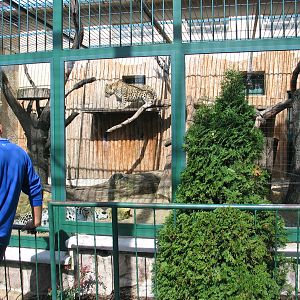 Bojnice zoo - September 2005