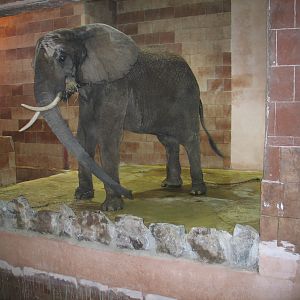 Bojnice Zoo - September 2005