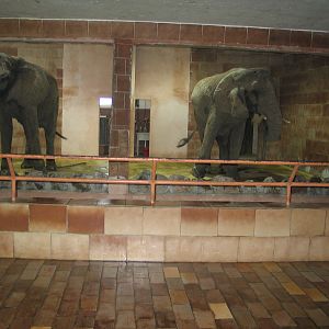 Bojnice Zoo - September 2005