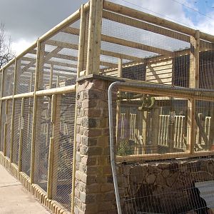 Blackbrook 04/04/09 - New Owl Aviaries near new pink aviary
