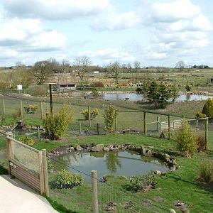 Duck Aviaries and N. American lake at Blackbrook Apr 09