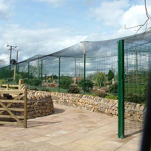 New aviary nearing completion at Blackbrook Apr 09