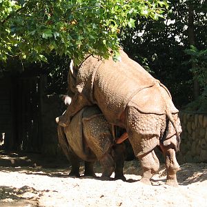 Berlin Zoo / Sptember 2005