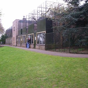 Edinburgh zoo 06 04 09