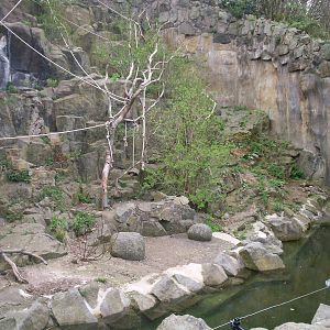 Edinburgh zoo 06 04 09