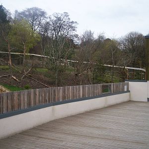 Edinburgh zoo 06 04 09