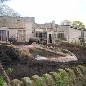 Edinburgh zoo 06 04 09