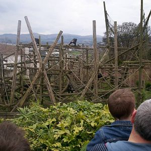 Edinburgh zoo 06 04 09