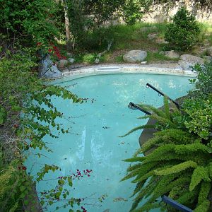 Chinese Alligator exhibit