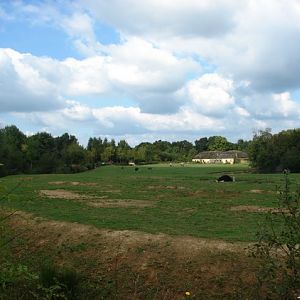 First exhibit (Cars-Part) : White rhinoceros & Ostrich