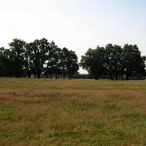 Third exhibit (Cars-Part) : African Plains 2 (Springboks...)