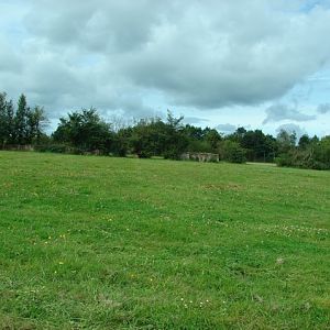 Fifth exhibit (Cars-Part) : Tigers