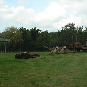 Sixth exhibit (Cars-Part) : Lions