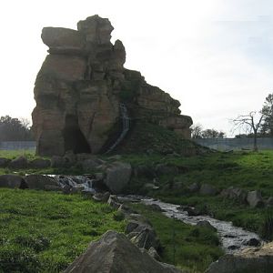 Seventh exhibit (Cars-Part) : American bears\Bighorn shepp