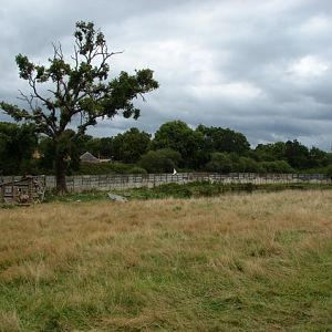 Seventh exhibit (Cars-Part) : Refuge for bighorn sheep