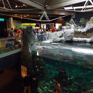 Strait of Georgia Exhibit