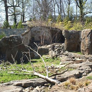 Apr 09 Asia trail - short clawed otter exhibit