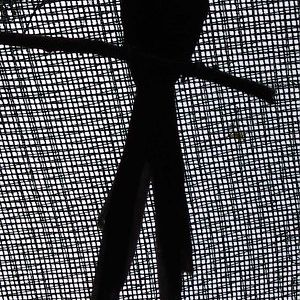 Red-collared Widowbird (Euplectes ardens)