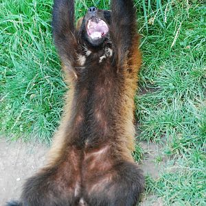 GaiaPark - July 2008