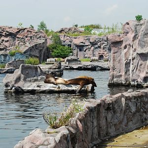 Zoom Erlebnis Gelsenkirchen - July 2008