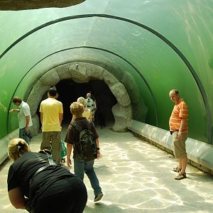 Zoom Erlebnis Gelsenkirchen - July 2008