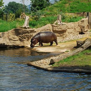 Zoom Erlebnis Gelsenkirchen - July 2008