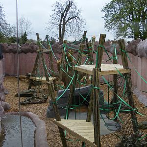 Outside area of Orangutan Forest