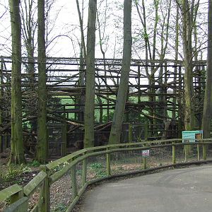 North Chinese Leopard enclosure (cage)