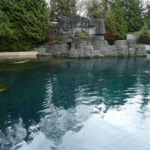 Beluga Whale Exhibit