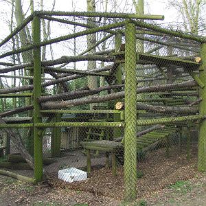 Fishing Cat enclosure (cage)