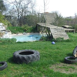 Sumatran Tiger exhibit
