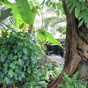 View into the Bird-hall